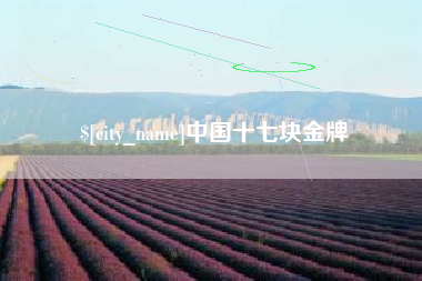 鄄城中国十七块金牌