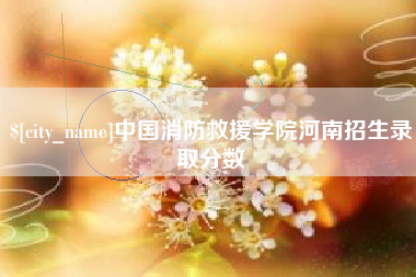 鄄城中国消防救援学院河南招生录取分数