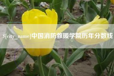 鄄城中国消防救援学院历年分数线