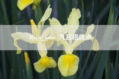 鄄城九宫格优点