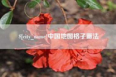 鄄城中国地图格子画法