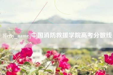 鄄城中国消防救援学院高考分数线