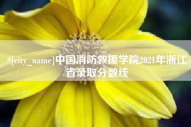 鄄城中国消防救援学院2021年浙江省录取分数线
