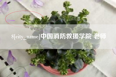 鄄城中国消防救援学院 老师