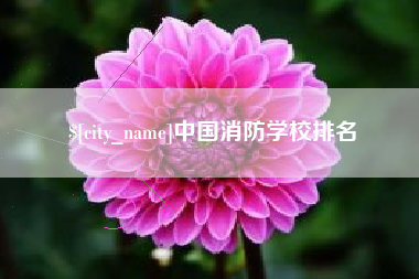 鄄城中国消防学校排名