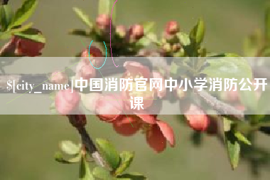 鄄城中国消防官网中小学消防公开课