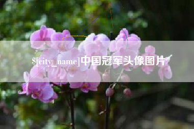 鄄城中国冠军头像图片