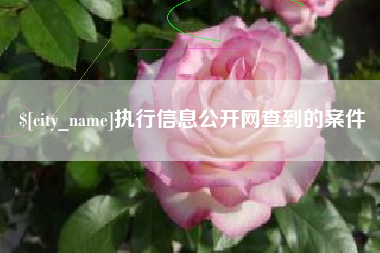 鄄城执行信息公开网查到的案件