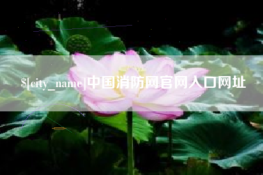 鄄城中国消防网官网入口网址