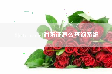 鄄城消防证怎么查询系统