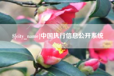 鄄城中国执行信息公开系统