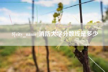 鄄城消防大学分数线是多少