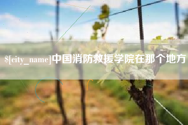 鄄城中国消防救援学院在那个地方