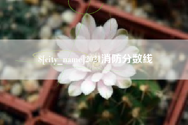 鄄城2021消防分数线