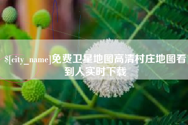鄄城免费卫星地图高清村庄地图看到人实时下载