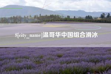 鄄城温哥华中国组合滑冰