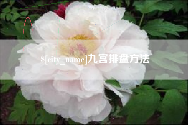 鄄城九宫排盘方法