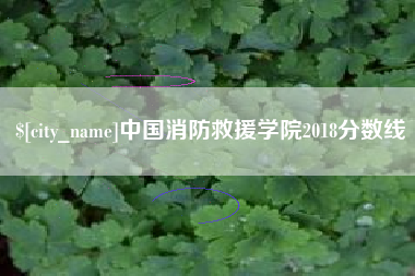鄄城中国消防救援学院2018分数线