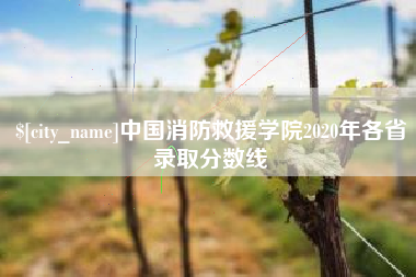 鄄城中国消防救援学院2020年各省录取分数线