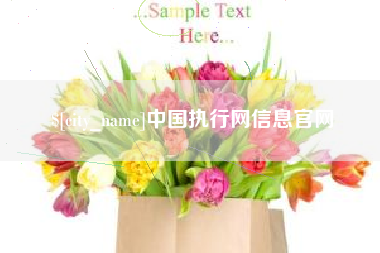 鄄城中国执行网信息官网