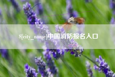 鄄城中国消防报名入口