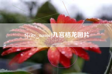 鄄城九宫格龙图片