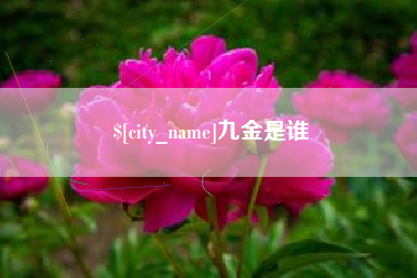 鄄城九金是谁