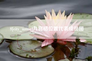 鄄城九宫格位置代表成员图