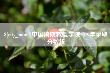 鄄城中国消防救援学院2019年录取分数线