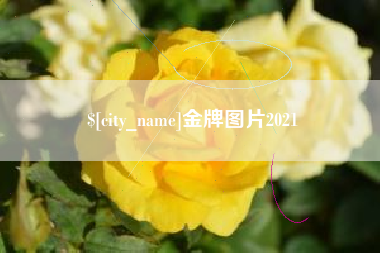 鄄城金牌图片2021