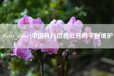 鄄城中国执行信息公开网平台维护