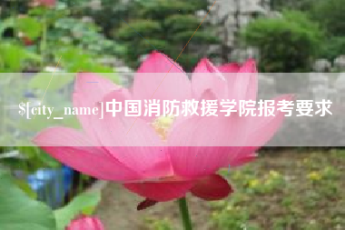 鄄城中国消防救援学院报考要求