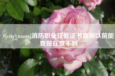 鄄城消防职业技能证书查询以前能查现在查不到