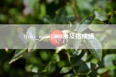 鄄城5000米及格成绩