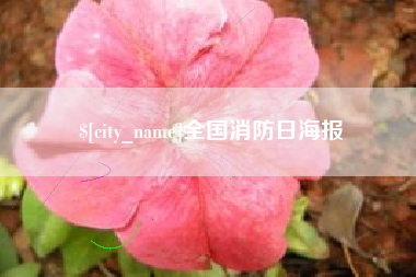 鄄城全国消防日海报