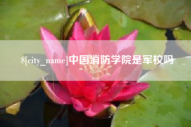 鄄城中国消防学院是军校吗