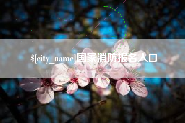 鄄城国家消防报名入口