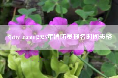 鄄城2025年消防员报名时间表格