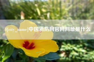 鄄城中国消防网官网网址是什么