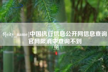 鄄城中国执行信息公开网信息查询官网限消中查询不到