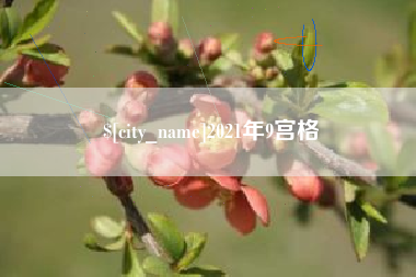 鄄城2021年9宫格