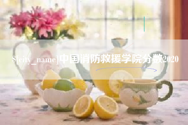鄄城中国消防救援学院分数2020
