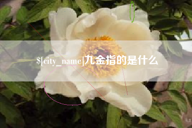 鄄城九金指的是什么