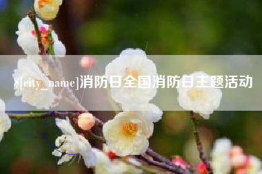 鄄城消防日全国消防日主题活动