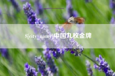 鄄城中国九枚金牌