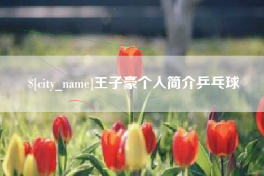 鄄城王子豪个人简介乒乓球