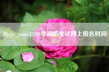 鄄城2020年消防考试网上报名时间