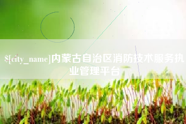 鄄城内蒙古自治区消防技术服务执业管理平台