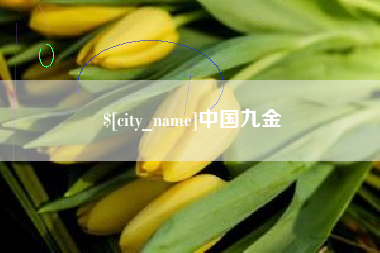 鄄城中国九金