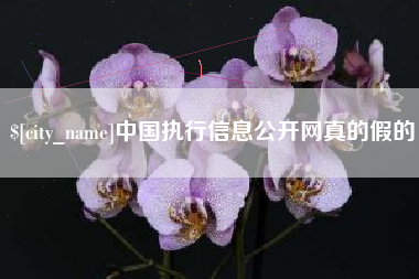 鄄城中国执行信息公开网真的假的